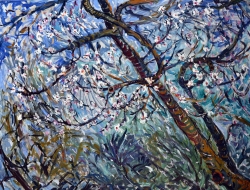 “ALMOND BLOSSOMS AND BRANCHES” BY JILL STEENHUIS