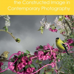 Associate Professor Marni Shindelman has edited a recently released publication, The Focal Press Companion to the Constructed Image in Contemporary Photography.