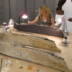 Cast painted to resemble the original manible (front); original whale manible used as a model (center); and Amy Sands painting cast (back). (Photo: Scott Noakes, UGA)