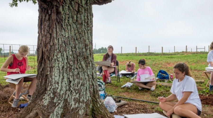 Students sit around a tree and draw