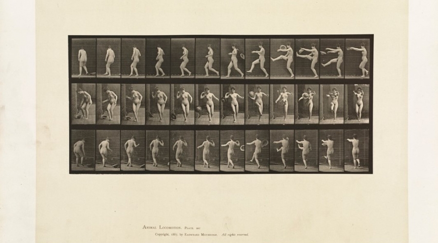 Edweard Muybridge, Woman Kicking a Hat, plate 367, collotype , in his "Animal Locomotion" (published 1887)