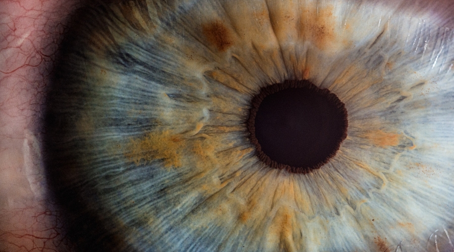 Close up image of eye