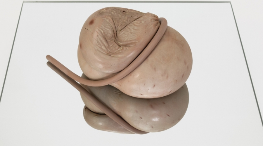 Ceramics in MFA Exhibition