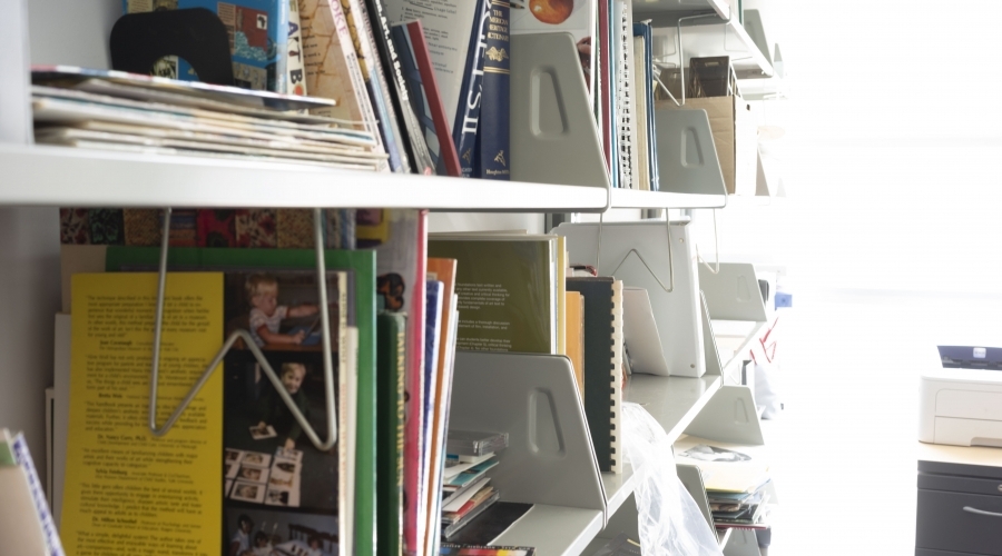 Image of books on a shelf