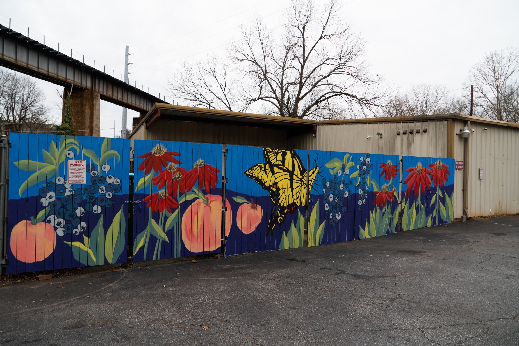 Photo: completed exterior mural at Bigger Vision of Athens