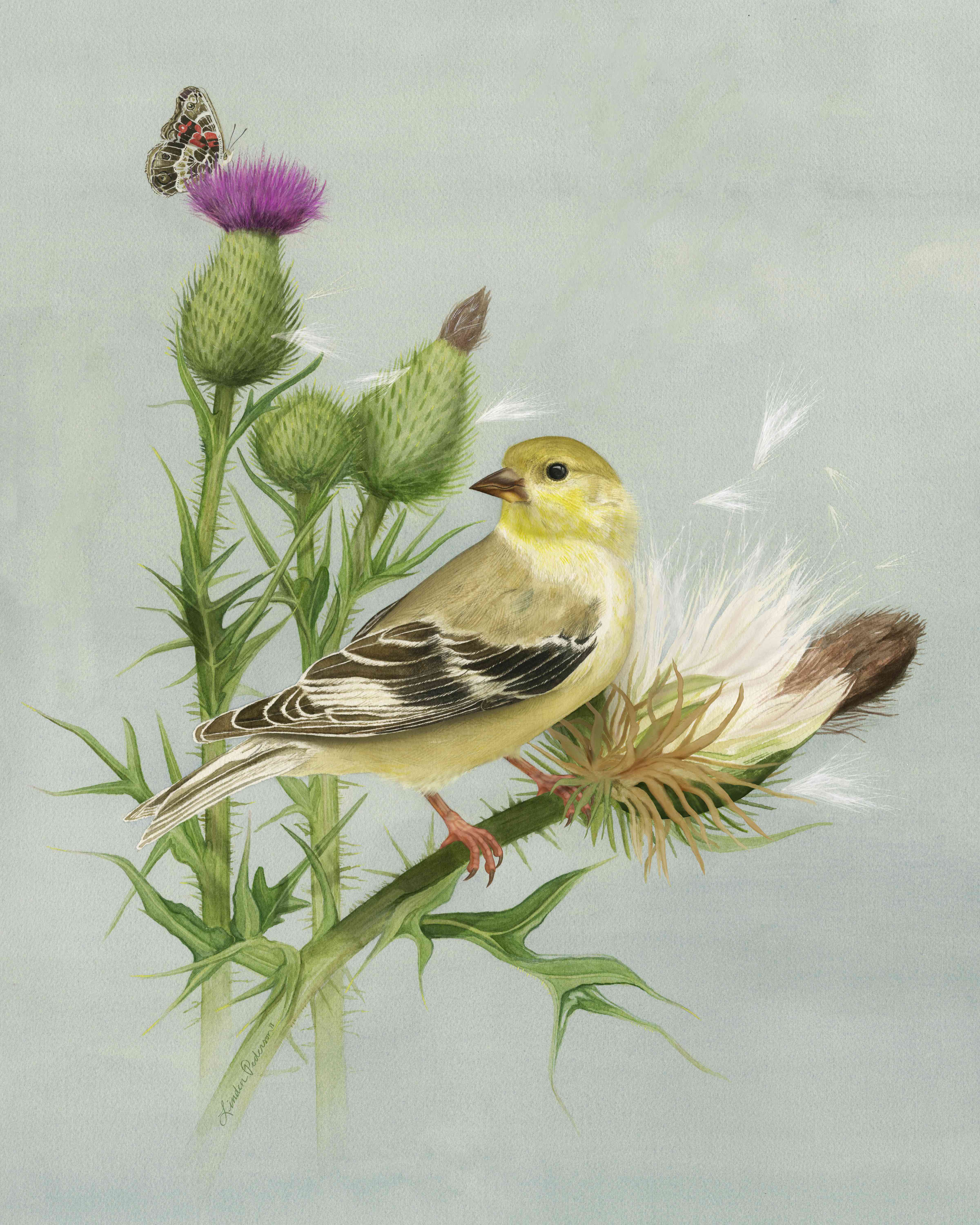 2019 Science Illustration Exhibition Lamar Dodd School Of Art