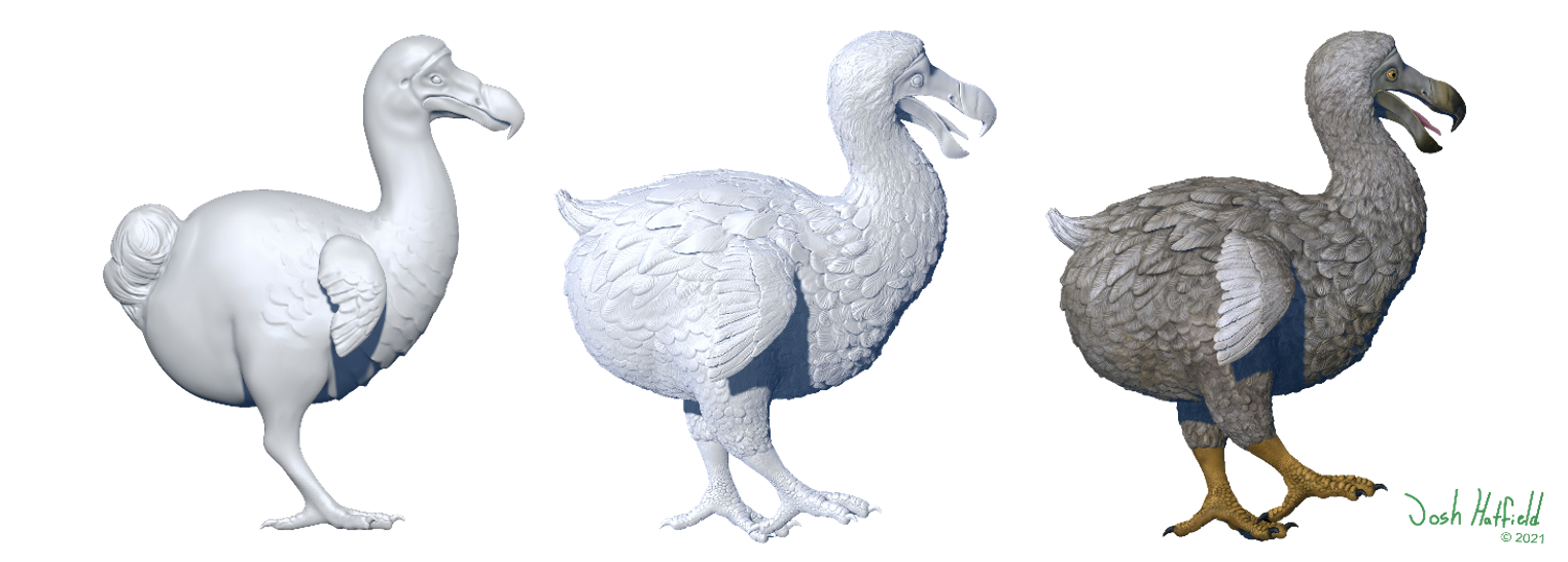 Fig 3: An earlier iteration of the Dodo bird (left), the final model before painting (middle), and the final model (right).