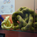 Fabric knots on display with diagrams about the field of Knot Theory on view in Spacing Out at the UGA McBay Science Library. Photo courtesy of Sidney Chansamone.