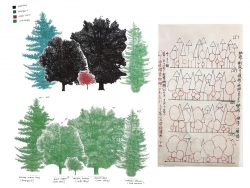 Jen de los Reyes and Oscar Rene Cornejo, Forest Planning (2024). image / provided