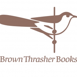 Brown thrasher incolor