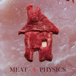 MEAT-a-physics