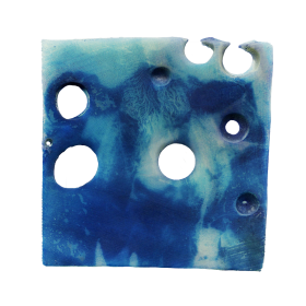 Harper Nichols, Cow #1, 2022, Cyanotype on Cheese