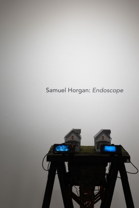 Samuel Horgan: Endoscope. Image courtesy of Lindsey Kennedy. 