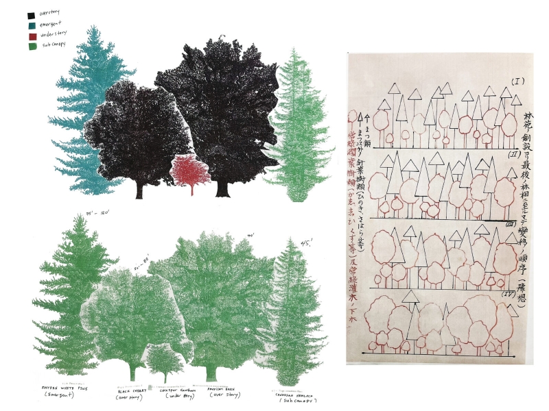 Jen de los Reyes and Oscar Rene Cornejo, Forest Planning (2024). image / provided