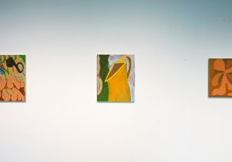 Adam Sipe "Ring Wren & Turtle" Installation image, Suite Gallery, Dodd Galleries 