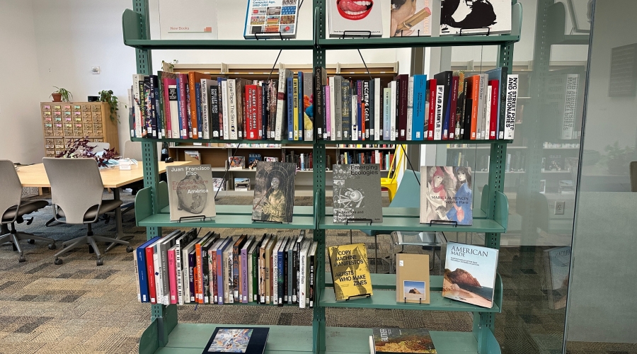 Two shelves displaying new art books. Several shelves have books arranged in the traditional style of a library, while several other shelves display front-facing books.