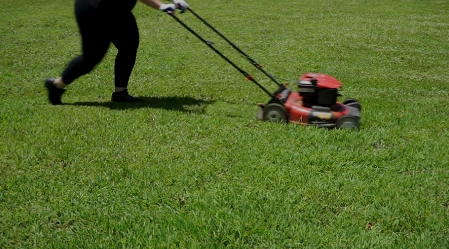 Someone mows a green lawn