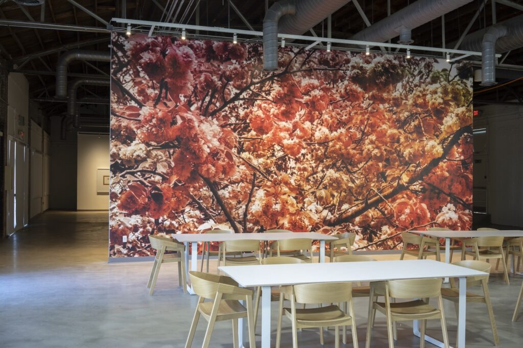 Trevor Paglen exhibition at the Athenaeum Fall 2021