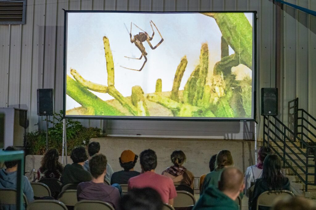 Short film projection during the 2022 Short Shorts Film Festival at Thomas Street Art Complex. 