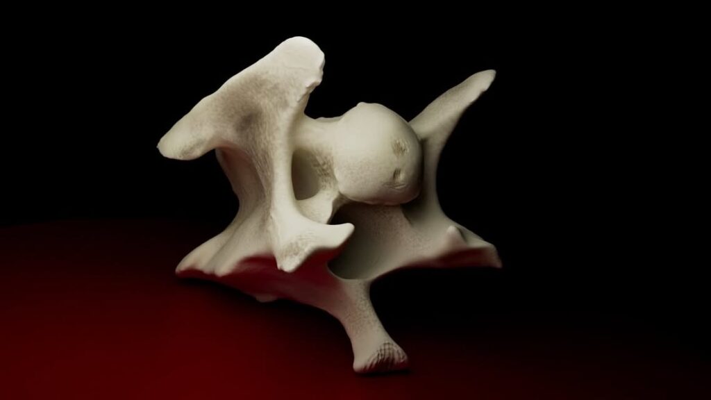 Vertebra by Gaby Perez