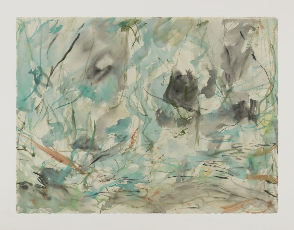 Kara Walker, Brambles, 2021. Graphite, watercolor, gouache, and sumi-e ink on paper. 22 1/2 x 30 inches. (KW 19778).