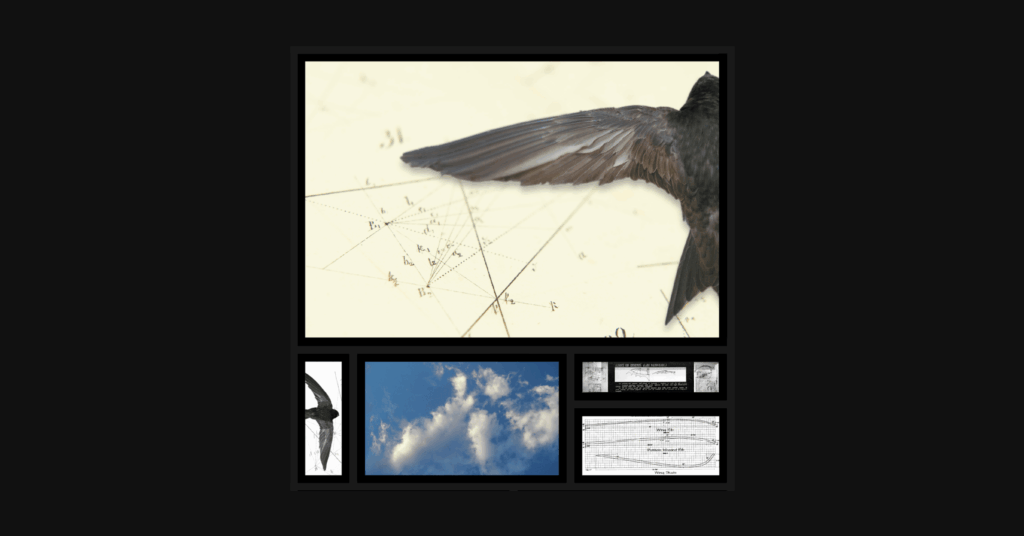 Michael Marshall, Geometry of Flight. Pigment print, wood. 43 x 43