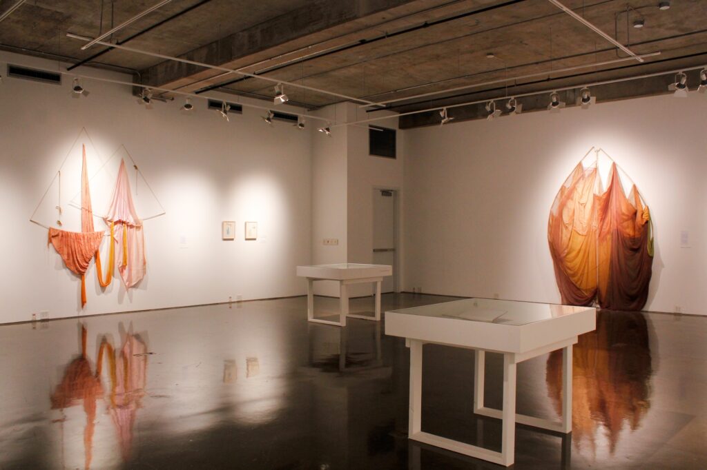 Rosemary Mayer: Beware of Definitions. Installation view, Dodd Galleries, 2017.