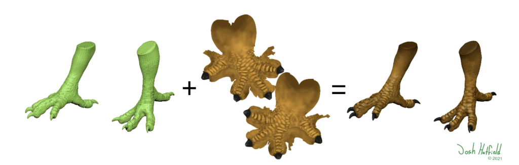 Fig 4: An example of the low-resolution model of the Dodo’s legs without the texture map (left), the texture map (middle), and the texture map applied to the legs (right).