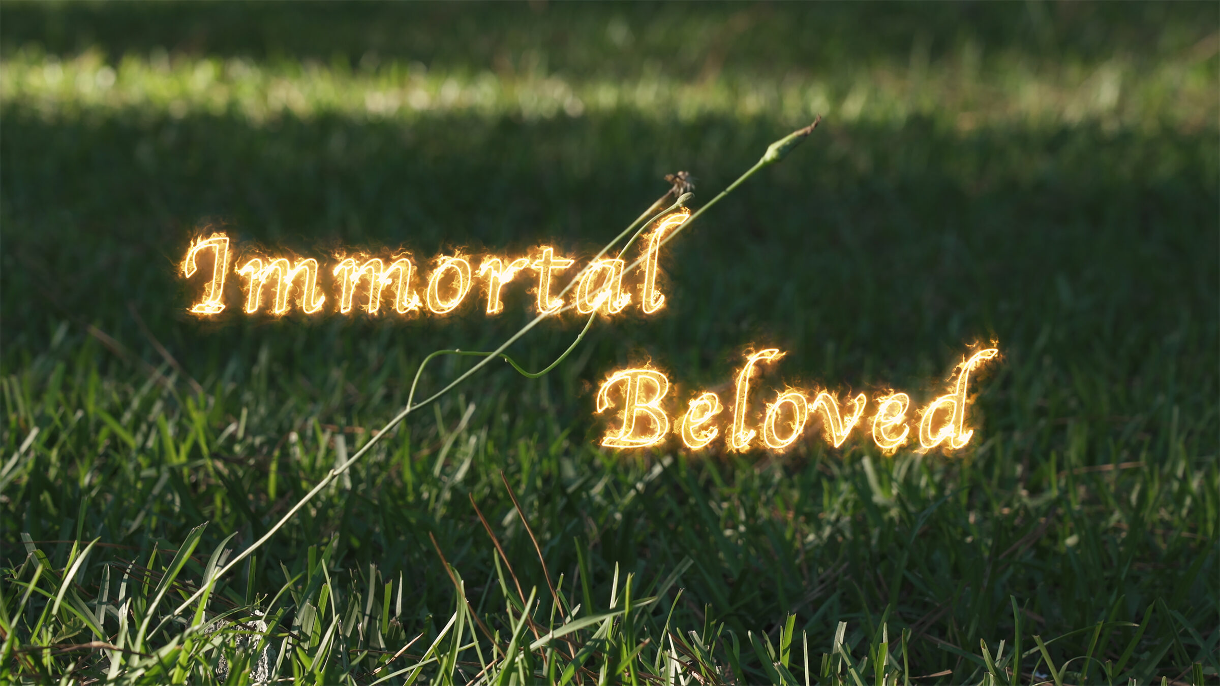 immortal-beloved-lamar-dodd-school-of-art