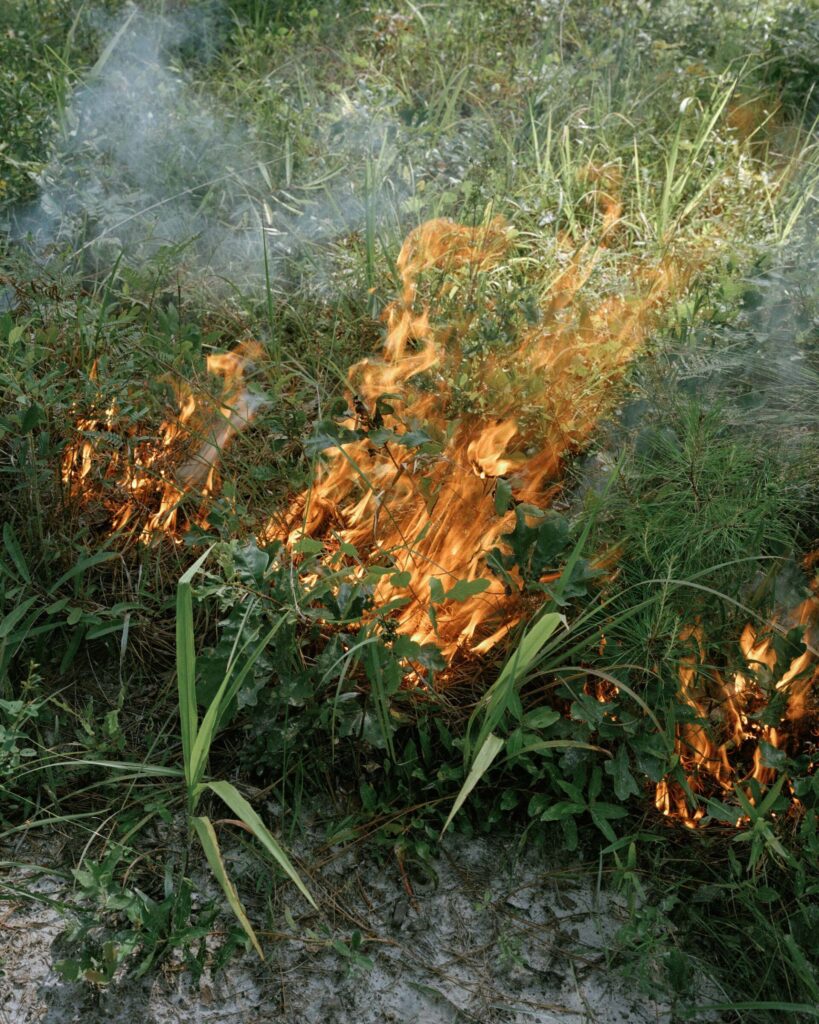 Lindsey Kennedy, Burn #1, 2023. Archival pigment print, 16 x 20"