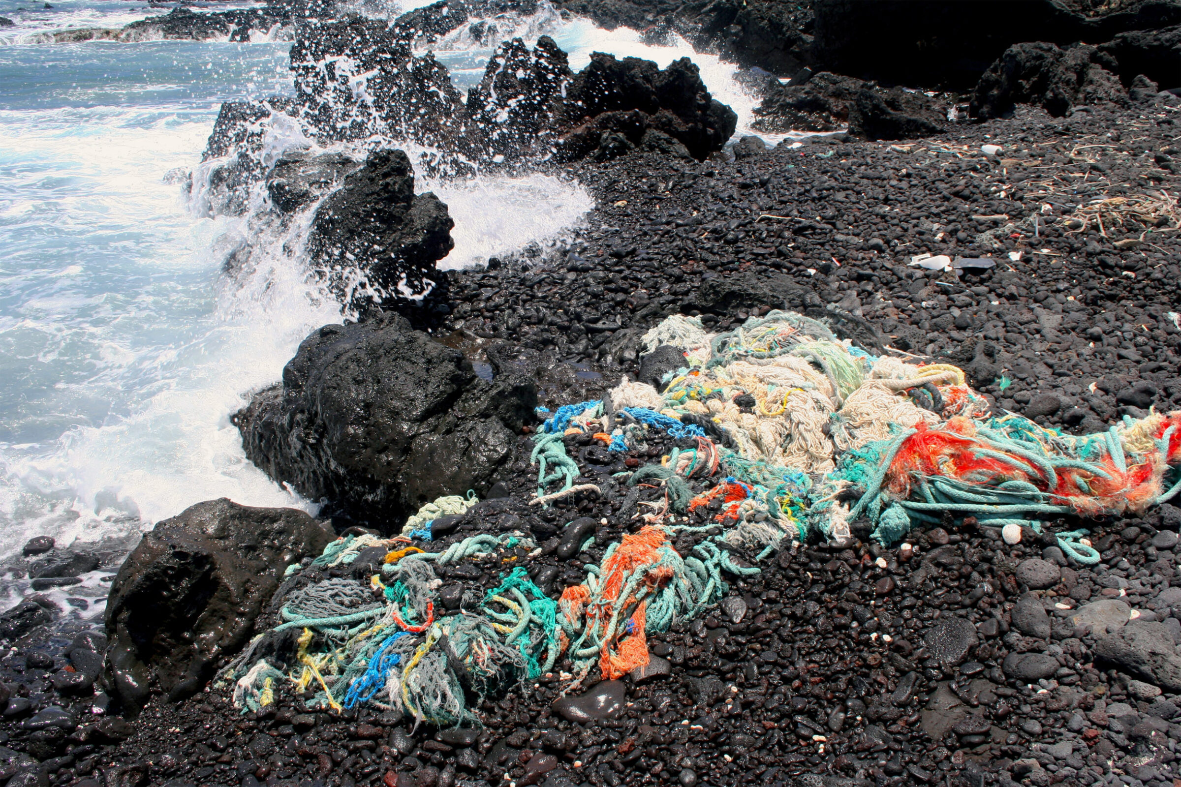 Pam Longobardi, “Ghosts of Consumption,” taken in Hawai'i