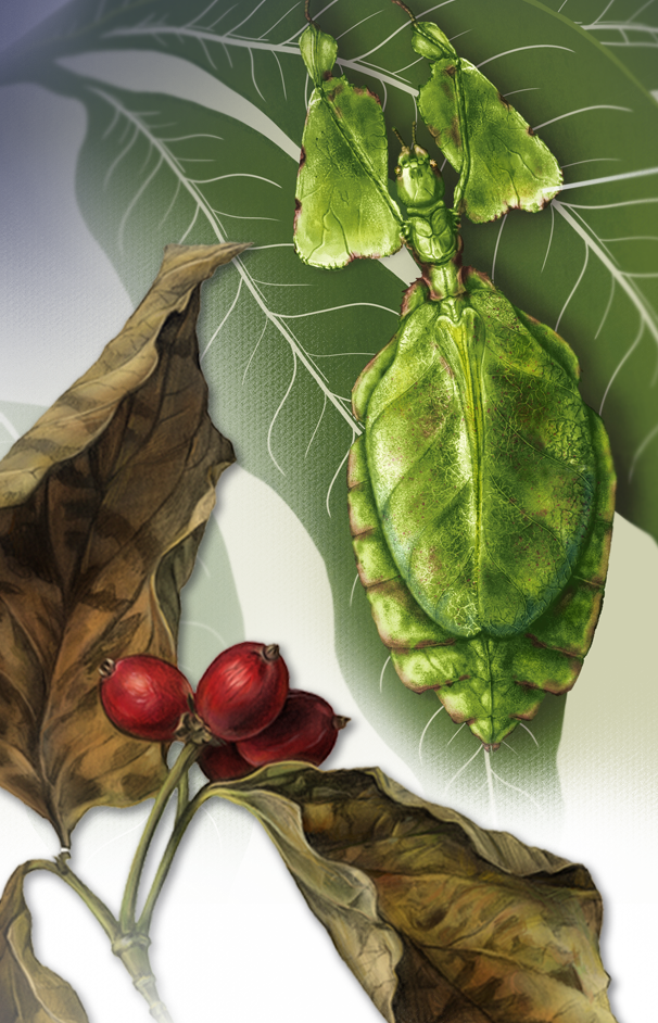 35th Annual Student Scientific and Medical Illustration Juried Exhibition